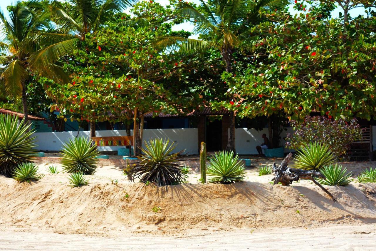 Hostel America Do Sul Jijoca de Jericoacoara Buitenkant foto